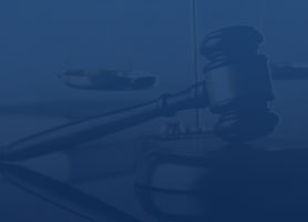 Litigation Overview